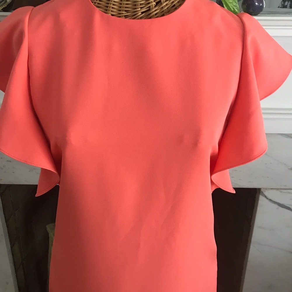 Sheath Dress Ruffled Sleeves - Picture 2 of 5